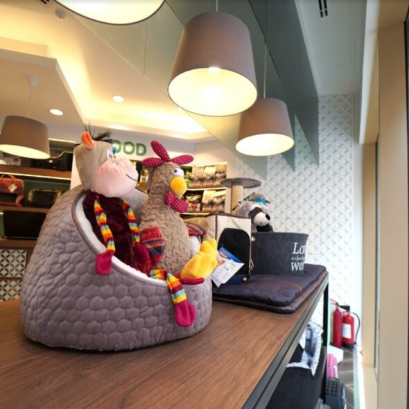 Puppies Dubai & Pet Shop Dubai ANIMAL TRADING BOUTIQUE