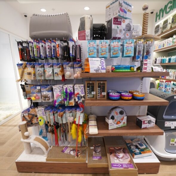 Puppies Dubai & Pet Shop Dubai ANIMAL TRADING BOUTIQUE