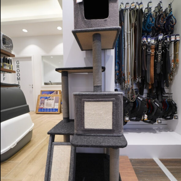 Puppies Dubai & Pet Shop Dubai ANIMAL TRADING BOUTIQUE